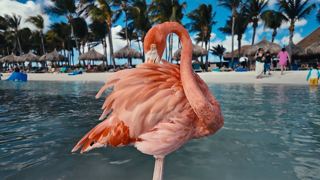 Carnival Magic Cruise 2025