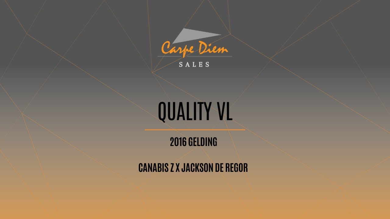 Quality CSI2* 1m45 peelbergen