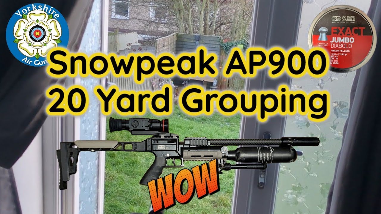 Snowpeak AP900 Zasdar 20 Yards Pellet Grouping #airrifleshooting #subscribe #ratting #pelletpistol
