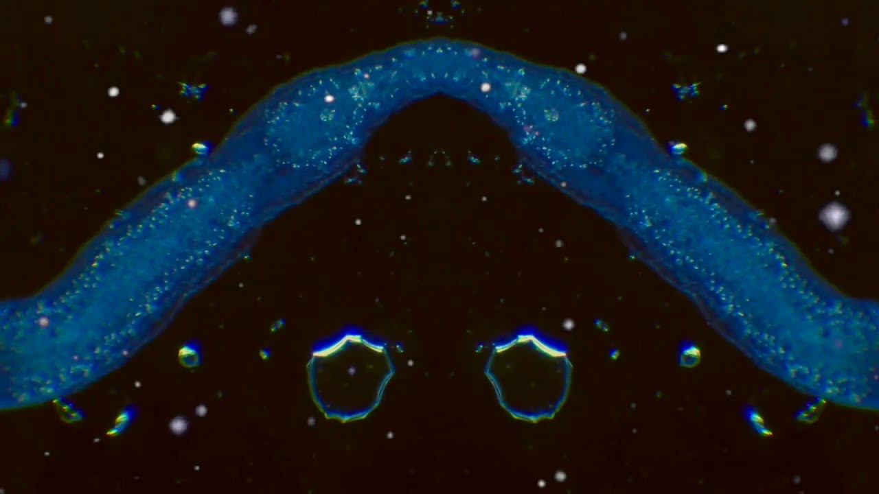 DEAD MEADOW - Voyager to Voyager (official video) // HEAVY PSYCH SOUNDS Records