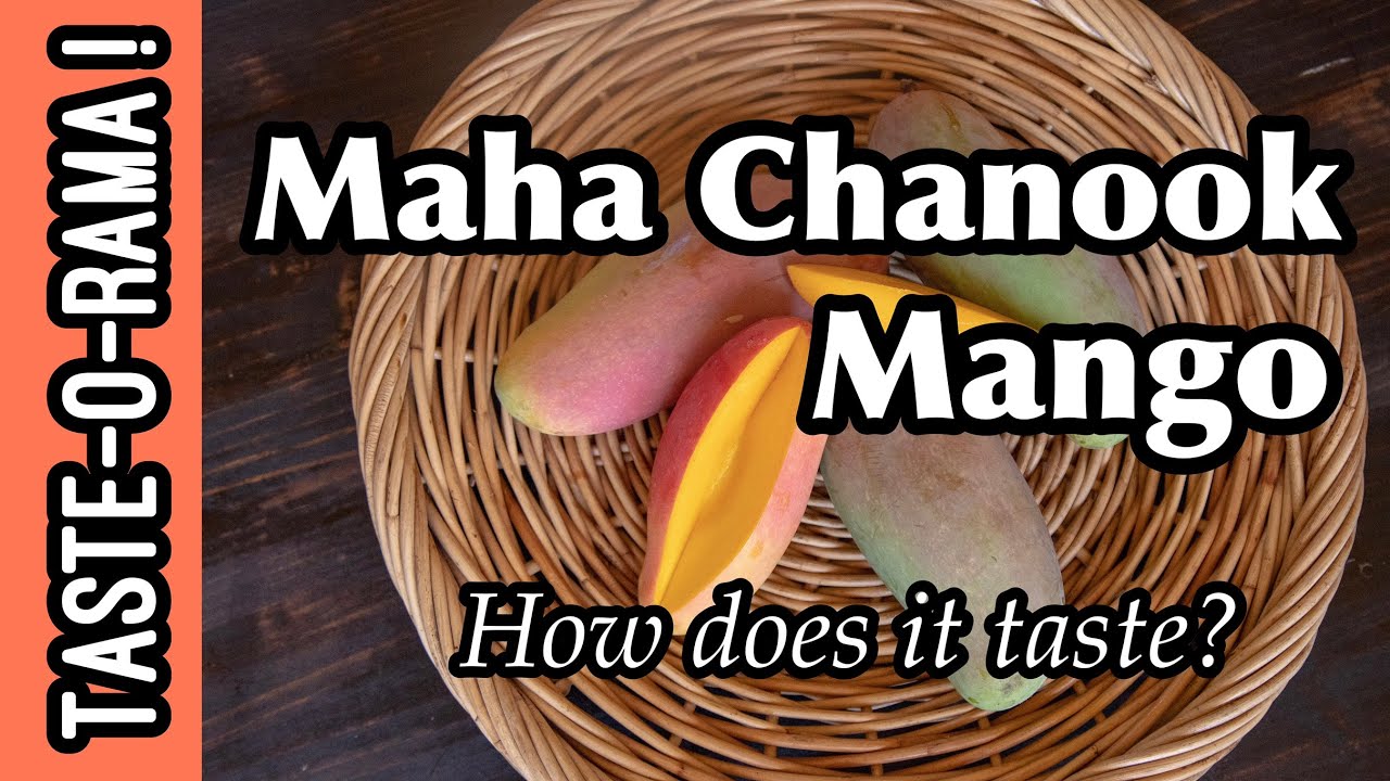 Taste-O-Rama! Манго «Maha Chanook»~ Какое оно на вкус?