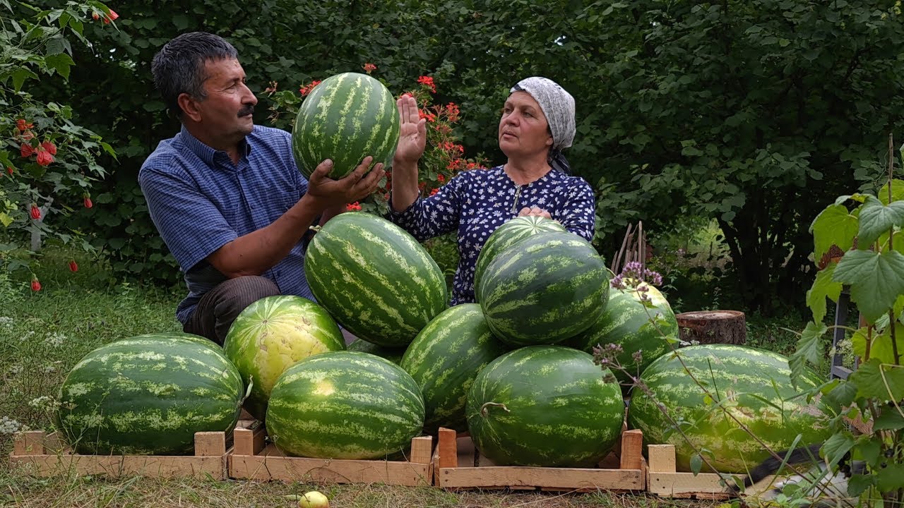 Готовим Арбузный Сок на Зиму