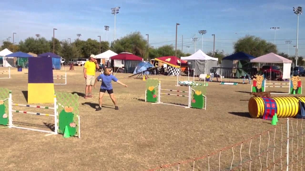 Twix Steeplechase Round 1
