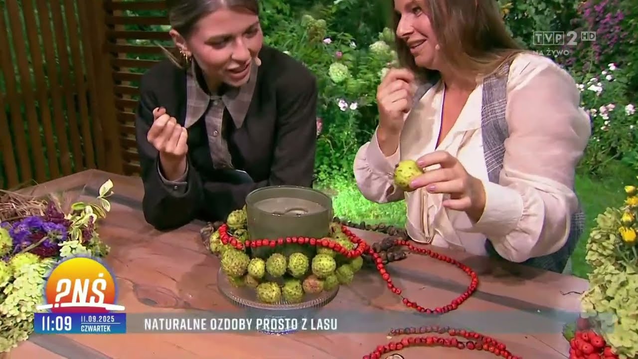 Moje wystąpienie w PNŚ - Kiszę pomidory.