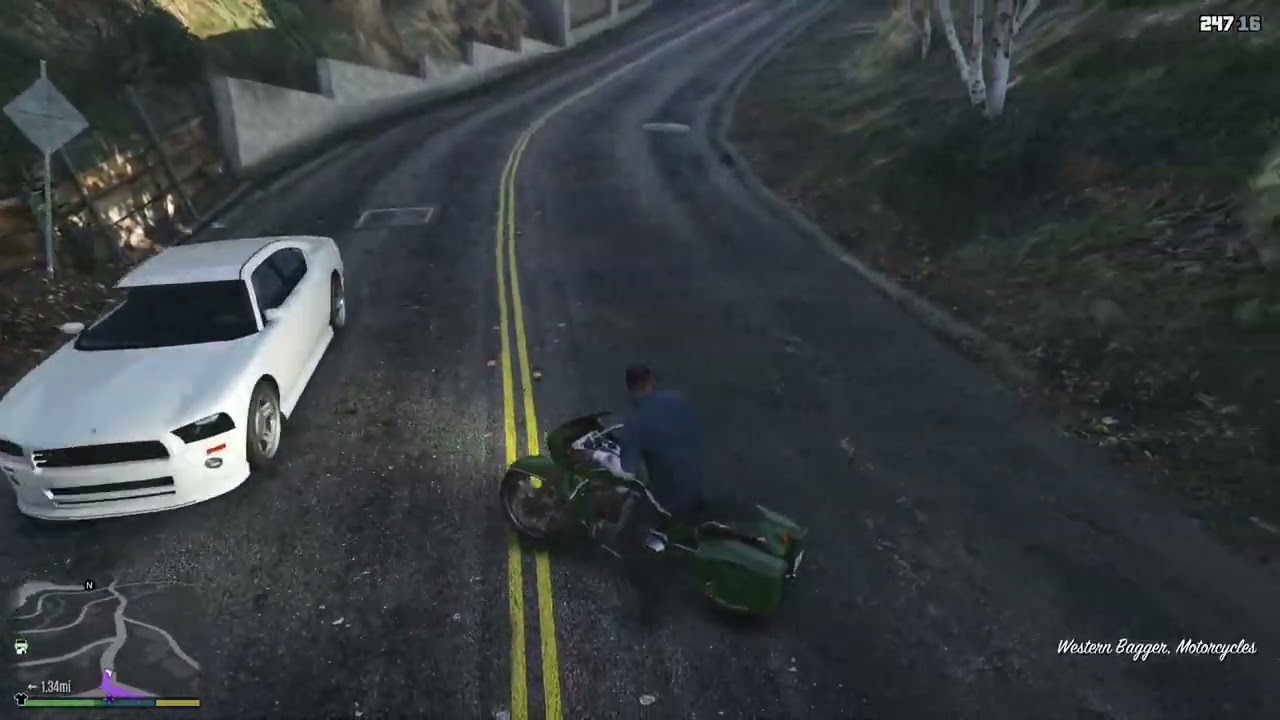 1/11/2026 (Eva, Grand Theft Auto 5)