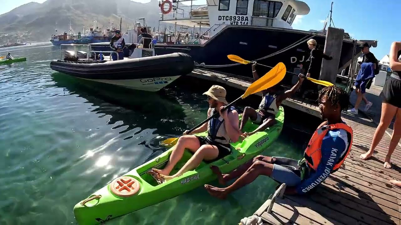 Dolphins with CapeTown Kayak Adventures #kayak #kayaking #dolphins