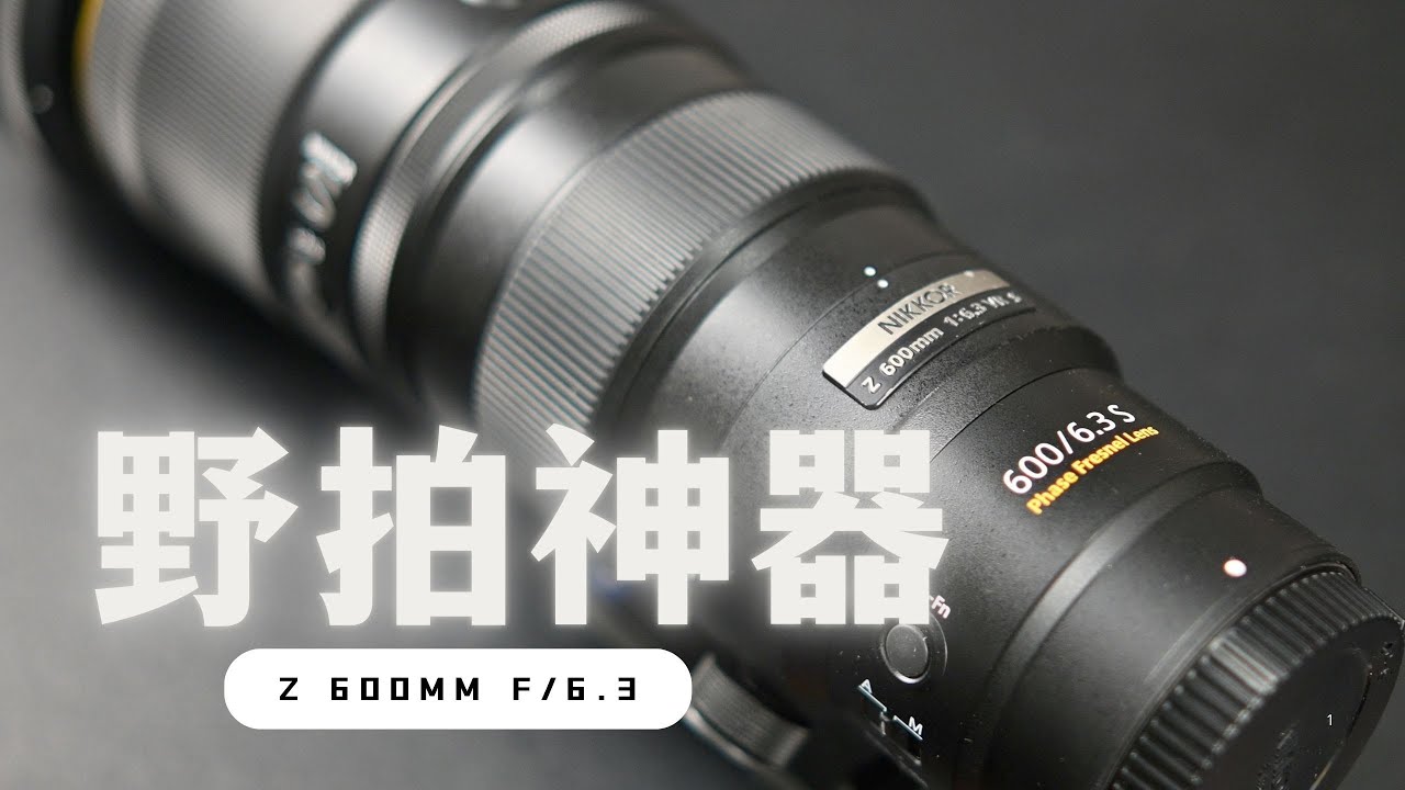 【詹姆斯】野拍神器：Nikon Z 600mm f/6.3 实战评测 ，值不值得买呢？