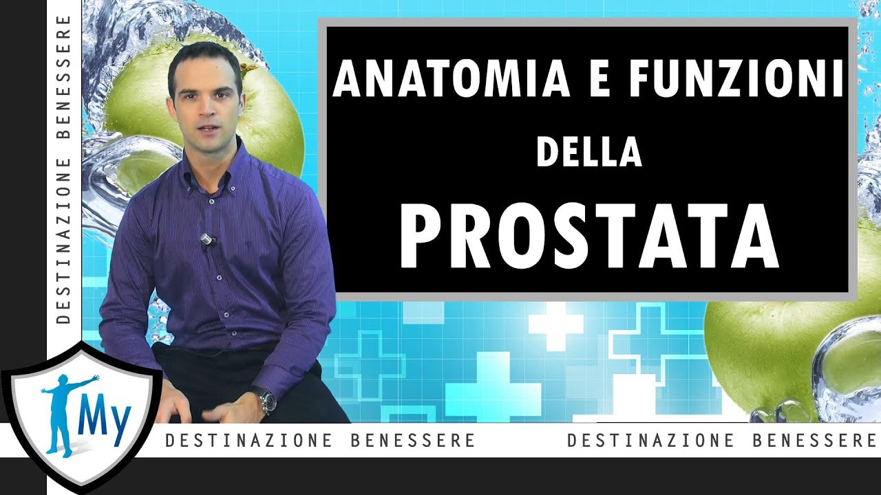 Prostata - Anatomia e Funzioni