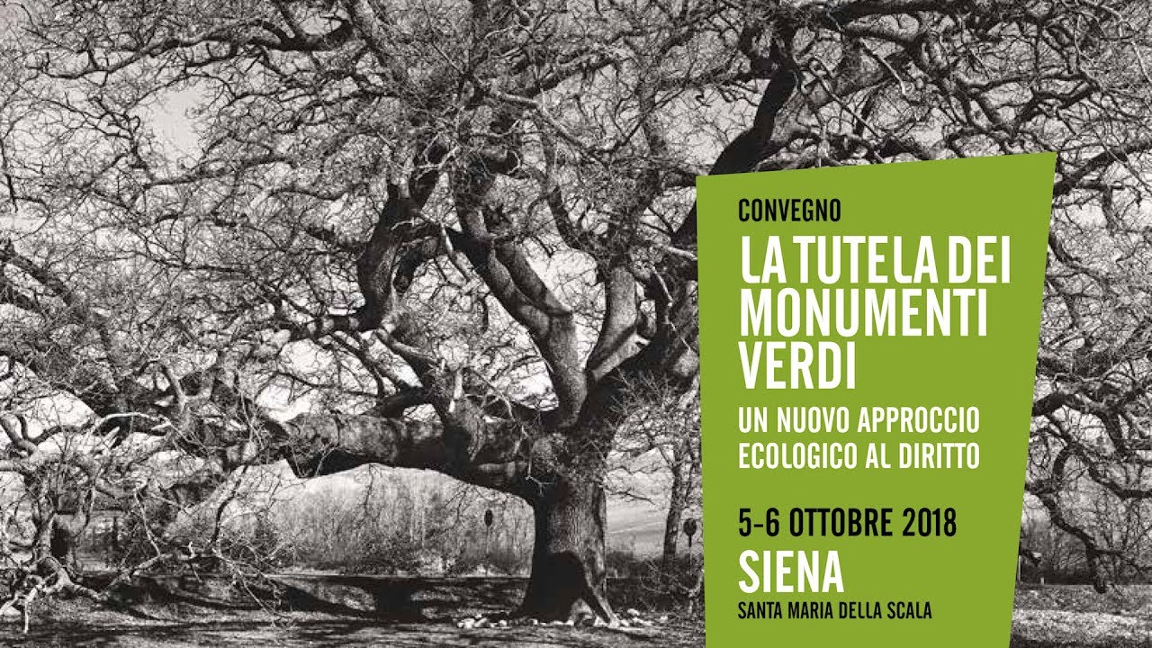 Daniele Zanzi - Convegno Monumenti Verdi | Quercia delle Checche