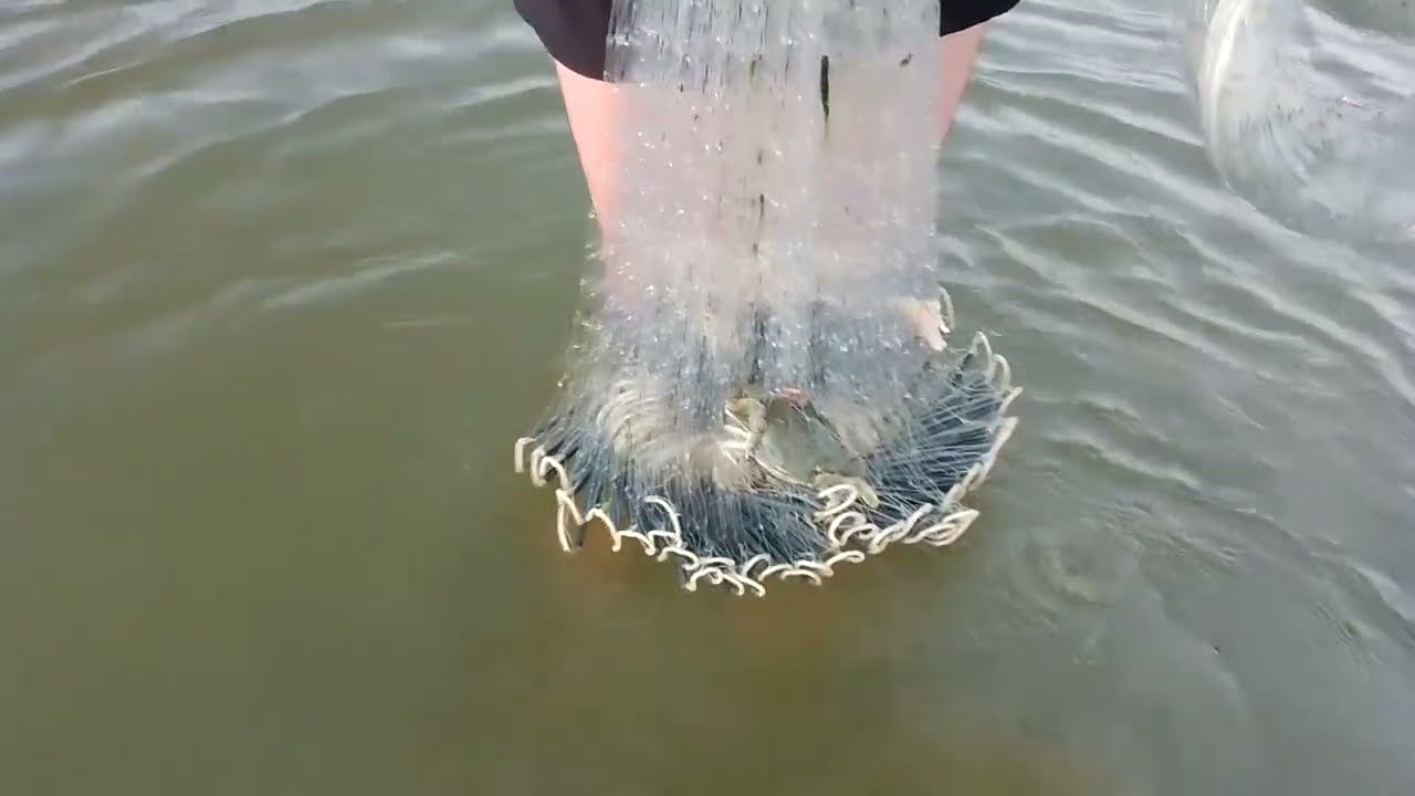 COMO LANÇAR UMA TARRAFA DE ARGOLA, TEVE SURPRESA NESSA AULA!! 🐟🕸️