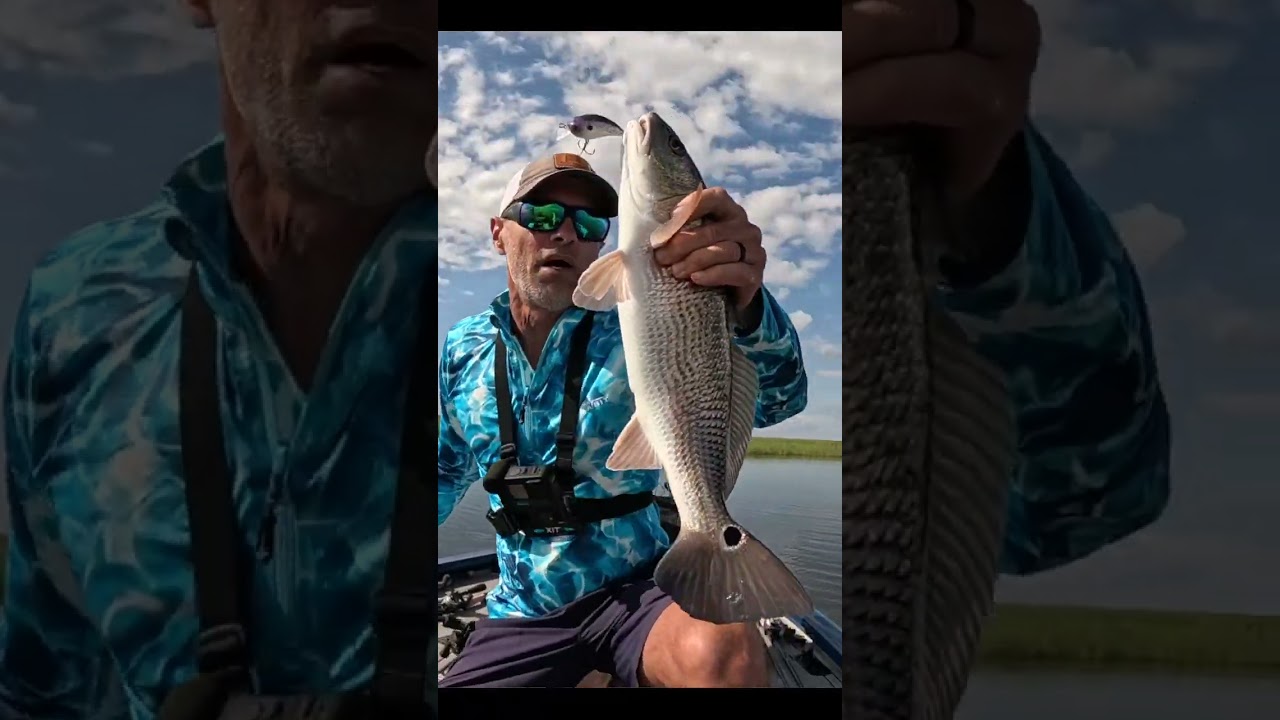 Fish Seem to ALWAYS Hit This Bait!