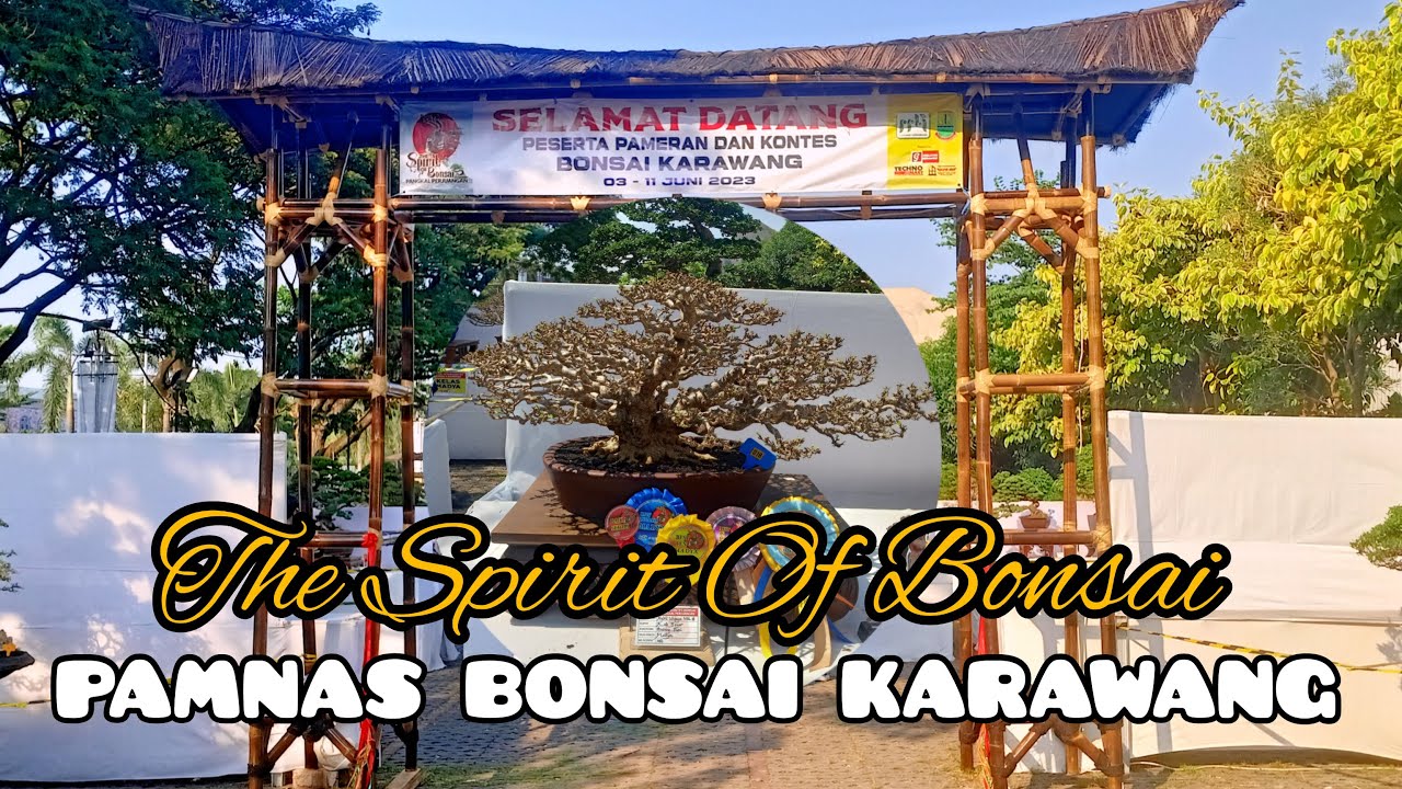THE SPIRIT OF BONSAI, Pamnas Bonsai Karawang 2023