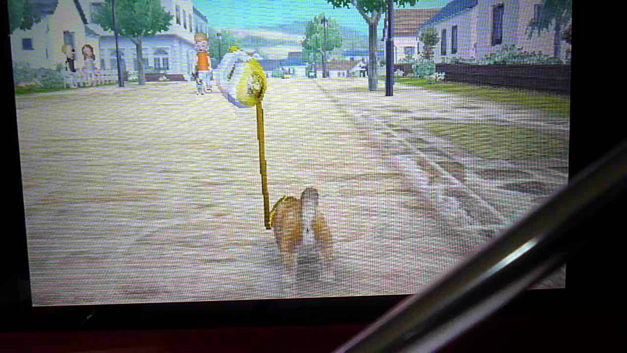 Nintedogs+cats - Les Balades P1