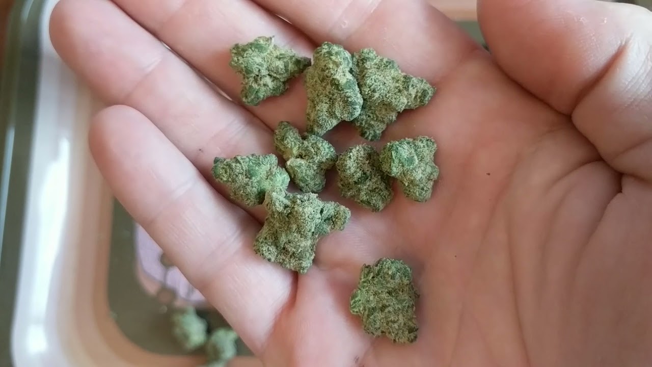 Alien Cheese 24% Fluent Fruitland Park 👽