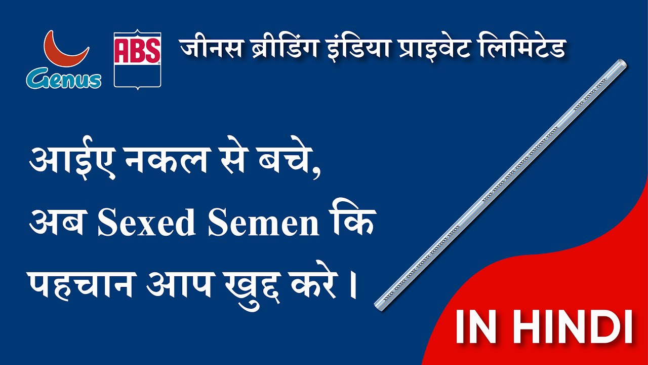ABS India: Real Semen Straw | A Comprehensive Guide
