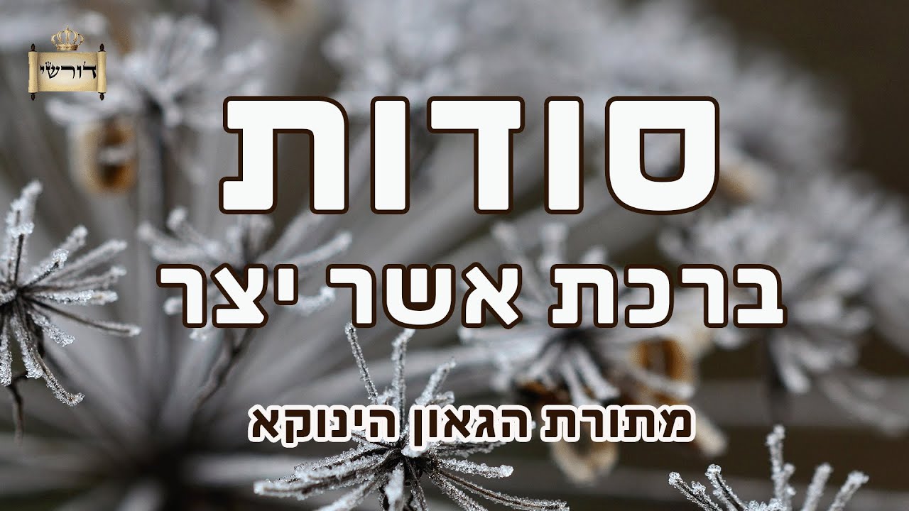 סודות ברכת אשר יצר על פי שיעוריו של הגאון הינוקא | הרב יחזקאל צמח שליט