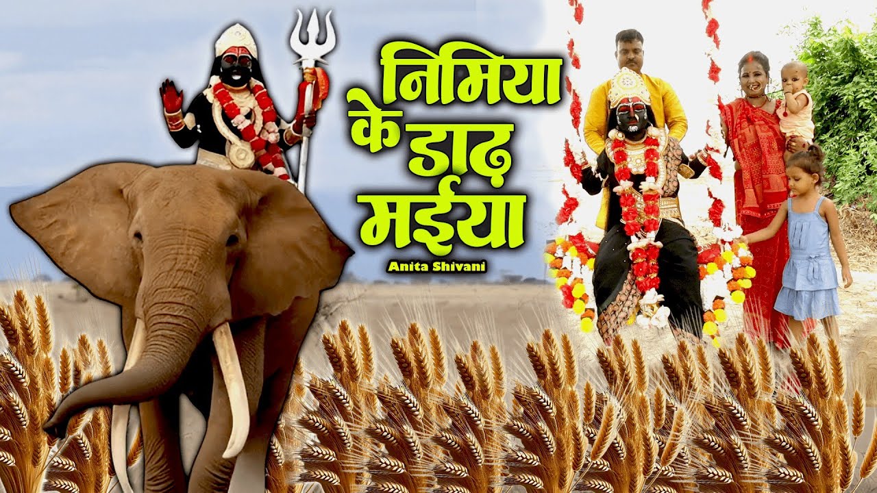 निमिया के डार मईया - पारंपरिक देवी पचरा ll Nimiya ke dadh Maiya ll Anita Shivani Devipachra .