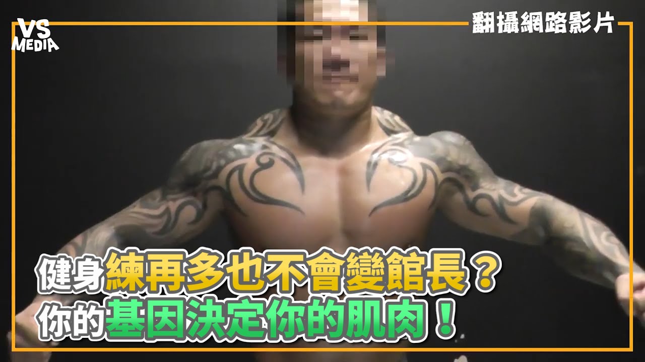 健身練再多也不會變館長？你的基因決定你的肌肉！《VS MEDIA》