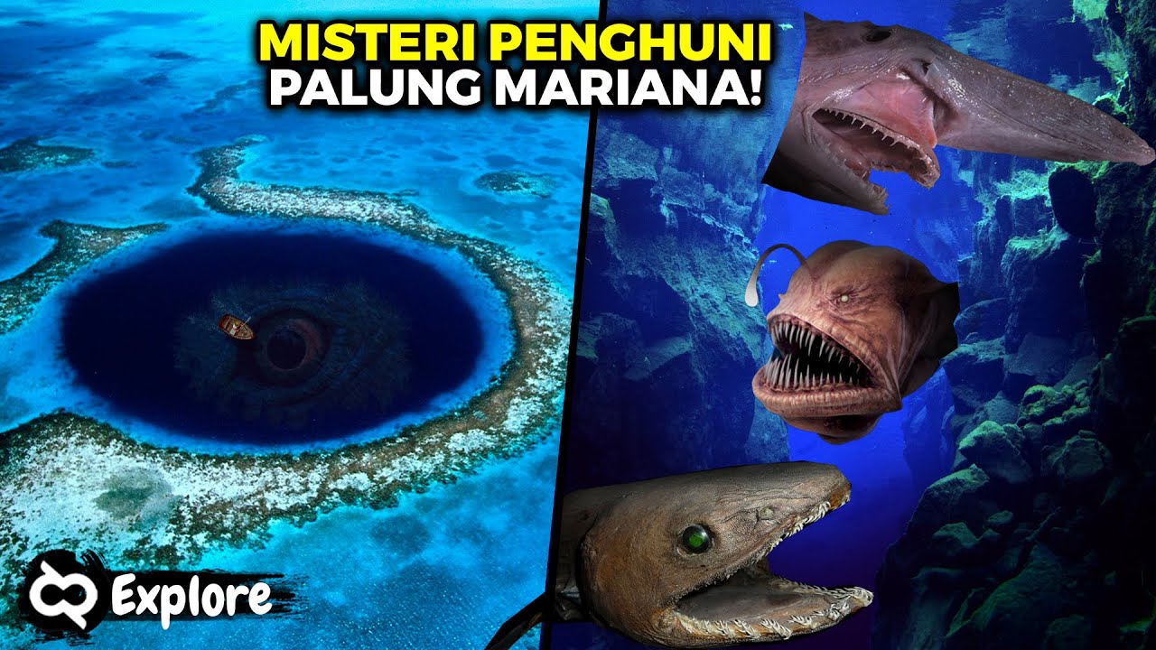 Misteri Mengapa Palung Mariana Menciptakan Monster Paling Mengerikan di Laut Terdalam Bumi