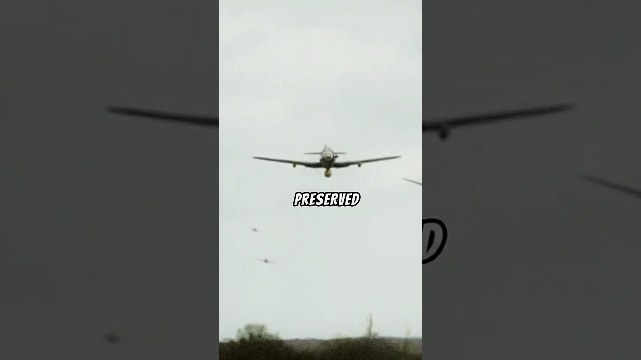 World war II Pilot Found After 70 Years Inside Messerschmitt Bf 109 #airhistory #shorts