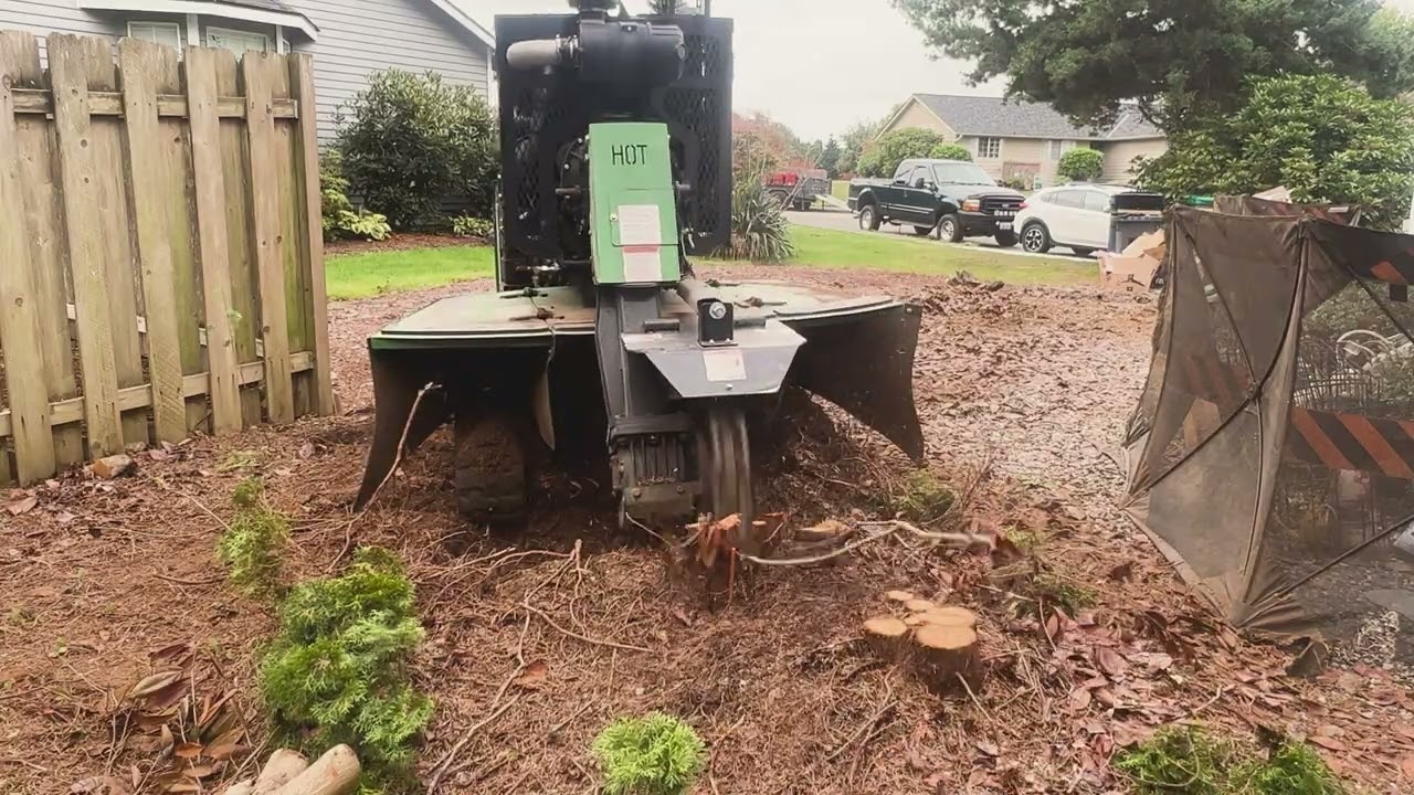 3X Speed Stump Grinding