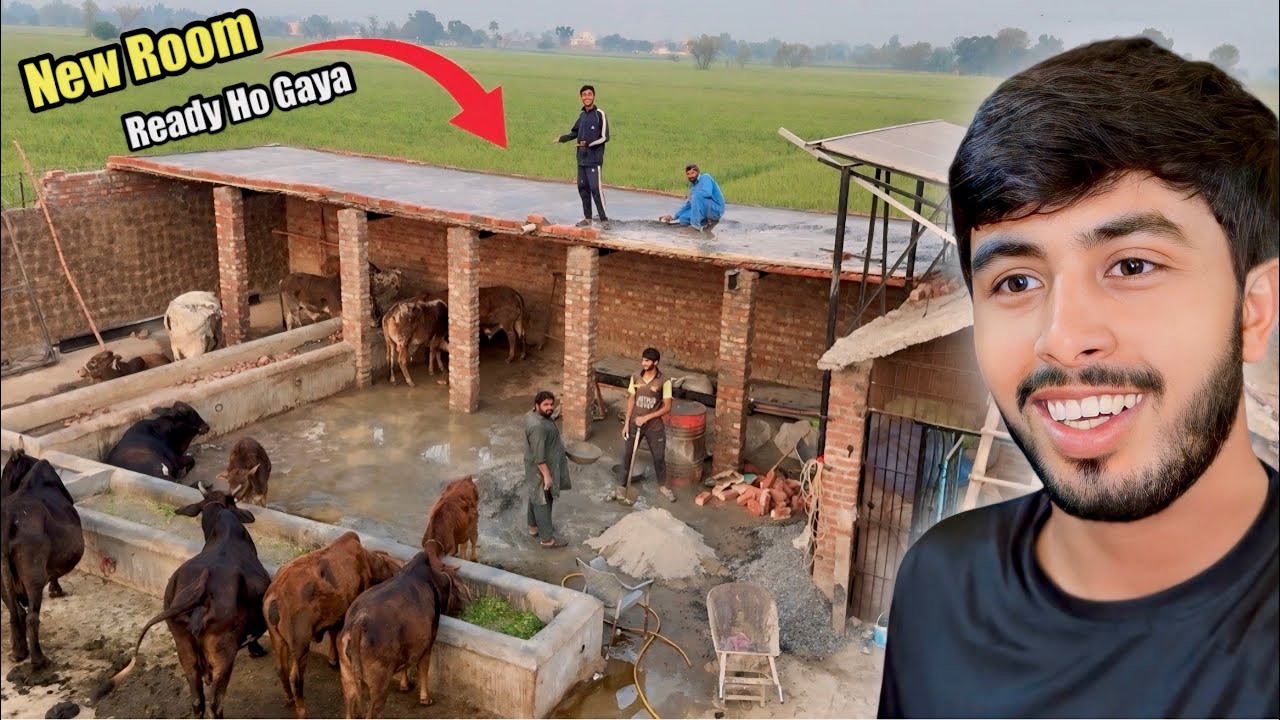 New Room Ki Chhat Daal Di 🛖 A new home is ready for the cows.🐄 construction Technology 