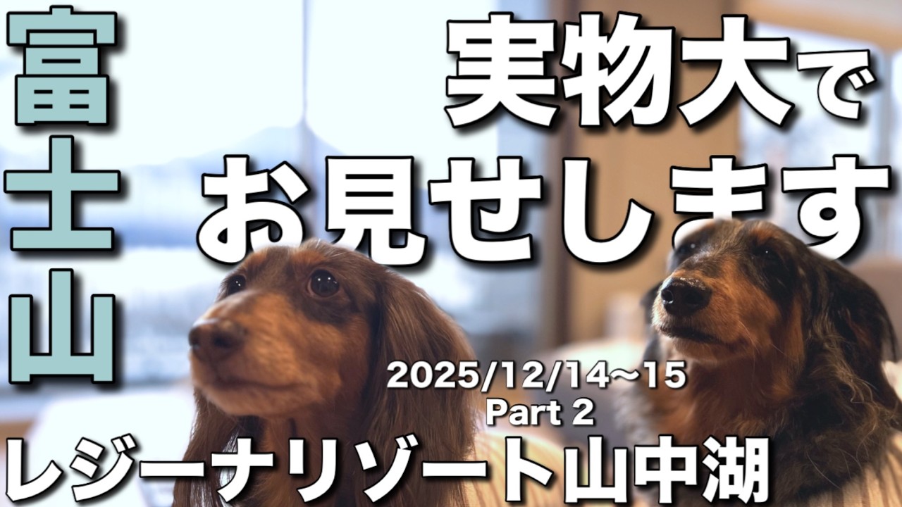 お部屋からの景色は…？！【犬連れ山中湖旅モデルコースあり】冬のレジーナリゾート山中湖
