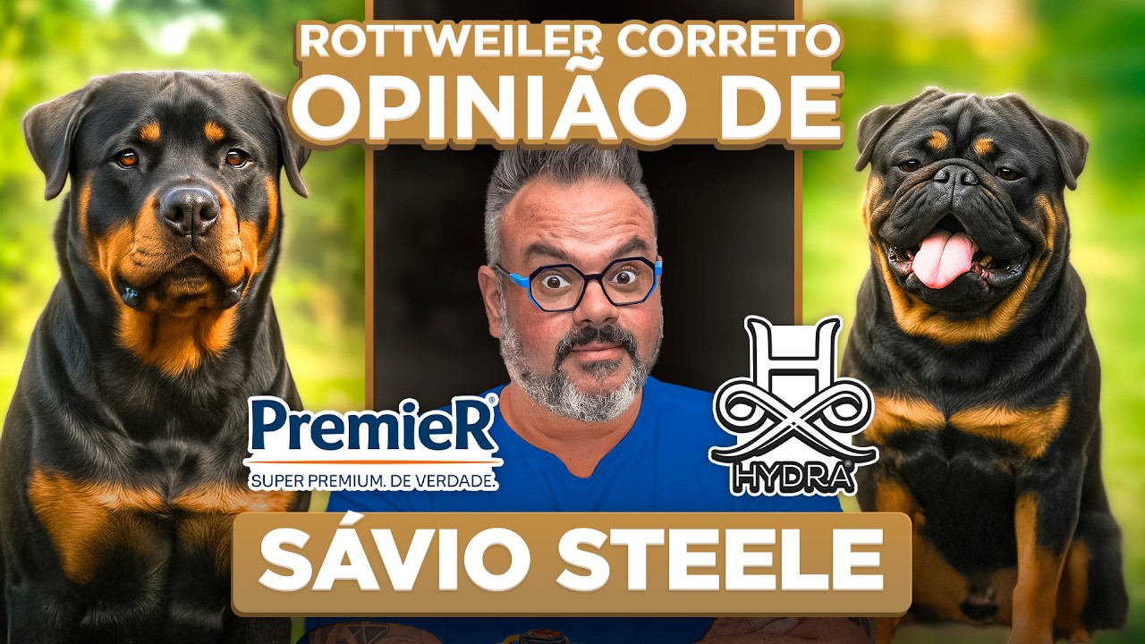 Rottweiler: o que é correto e o que virou exagero? — Opinião Sávio Steele | Cinofilia Digital