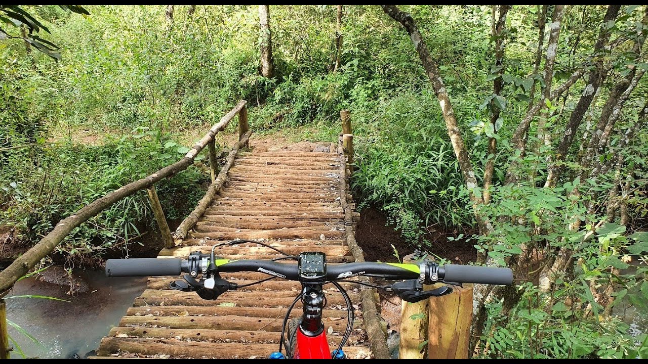 Ngong Forest Sanctuary  - Cycling in Nairobi
