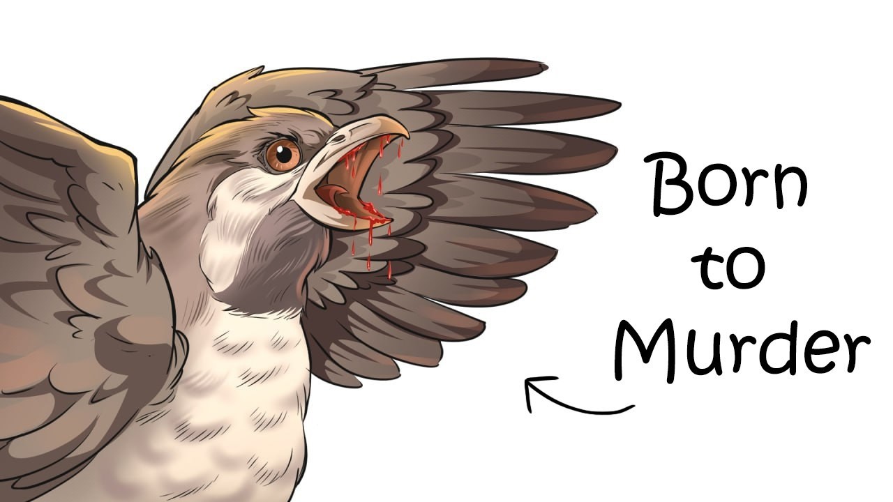 Why It Sucks to be Born a Honeyguide