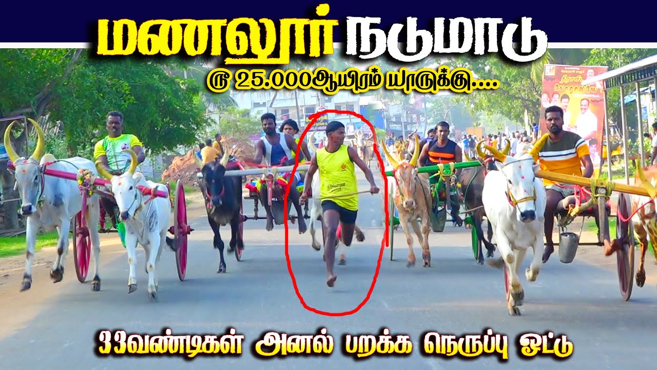 மணலூர் நடுமாடு 1பந்தயம் 13.12.2025