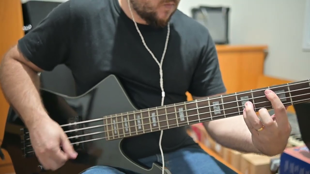 Iron Maiden – Blood Brothers | Bass Cover (Full Version)