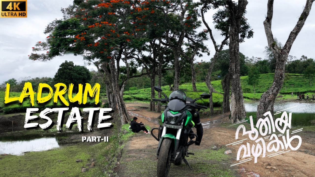 കുട്ടിക്കാനം വഴി Ladrum Estate ലേക്ക്😍🔥|Charlie Movie Location Vagamon-Kuttikanam 🍃