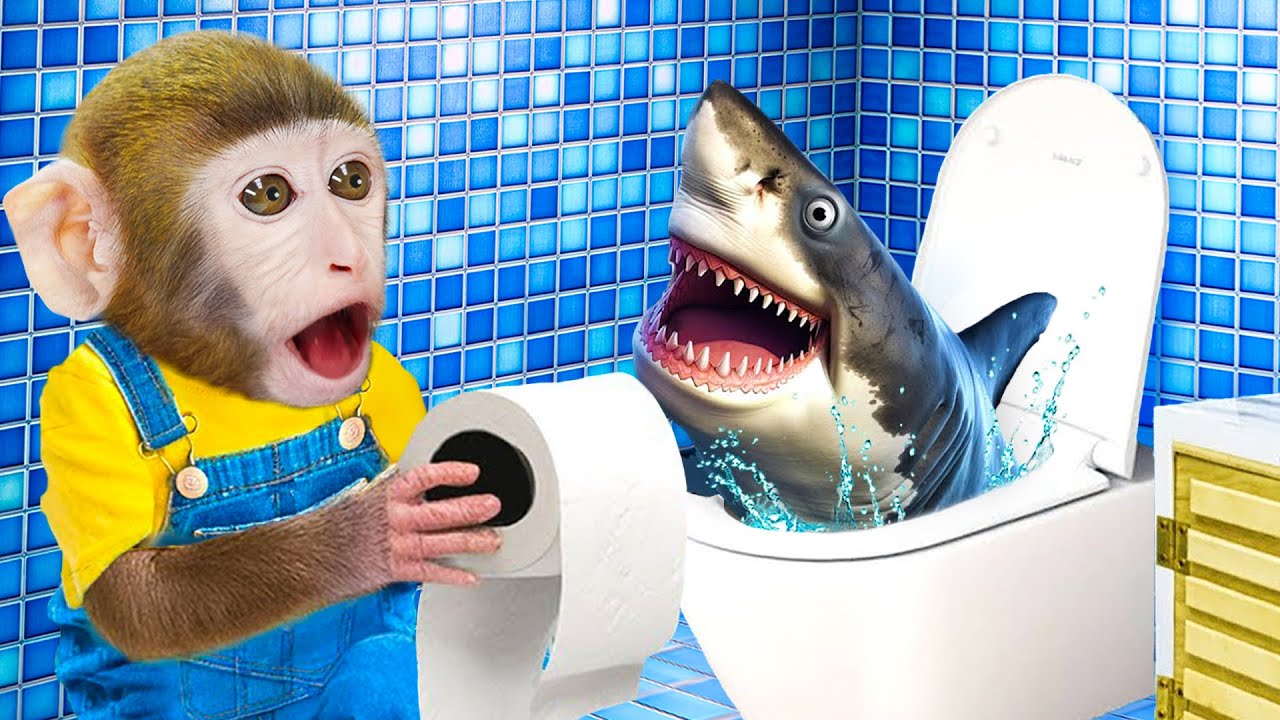 Monkey MoMo drives a tractor and the Heartwarming Rescue from the Shark | MoMo Monkey Life