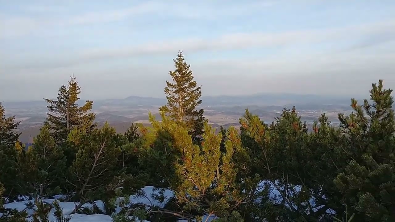 Góra Łysocina 1189 m n.p.m. - trasa na szczyt z Przełęczy Okraj