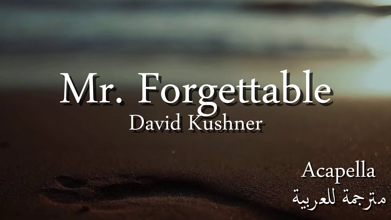 Mr. Forgettable _ David Kushner ( Acapella and Lyrics )