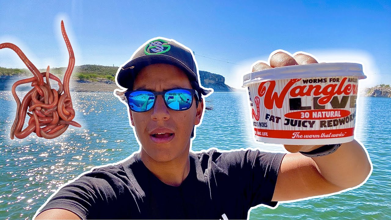 The BEST FISHING WORMS Ever!!!