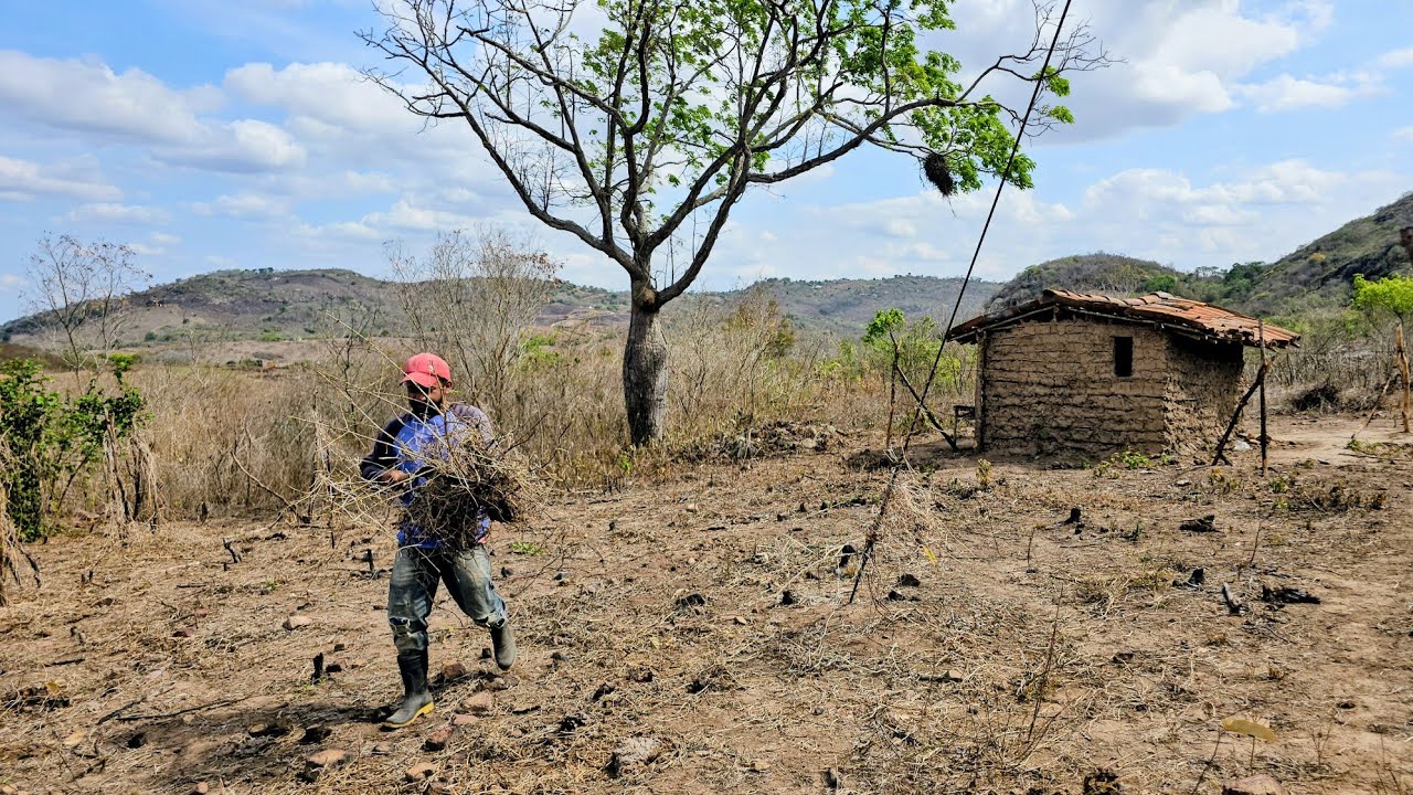 Agricultor prepara a terra pra fazer plantações no agreste da paraiba 🙏