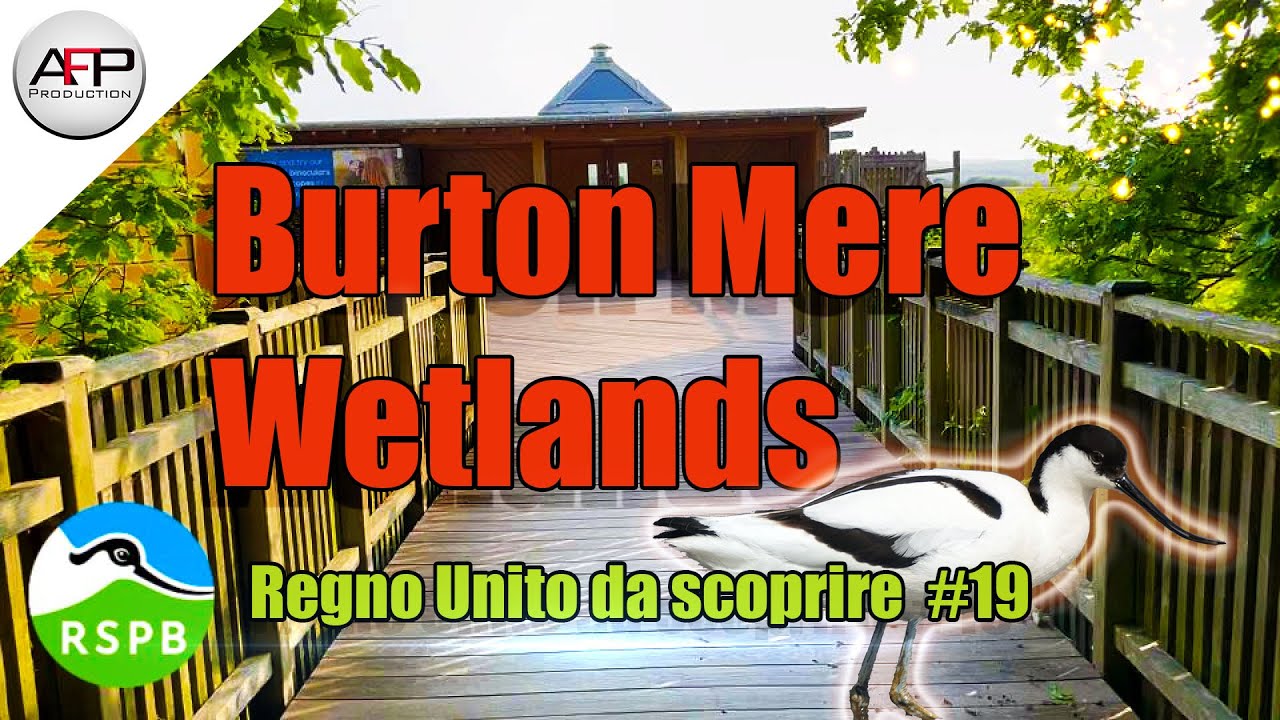 Burton Mere Wetlands: The heart of the RSPB Dee Estuary reserve!!!