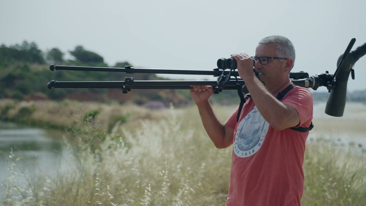 Silêncio… que vamos observar aves!
