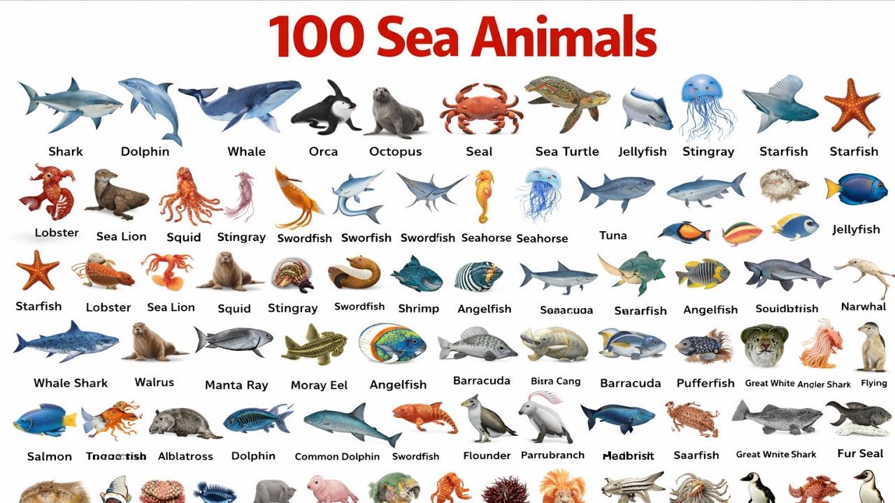 100 sea animals name|ocean animals name in hindi and english|समुद्री मछली के नाम 