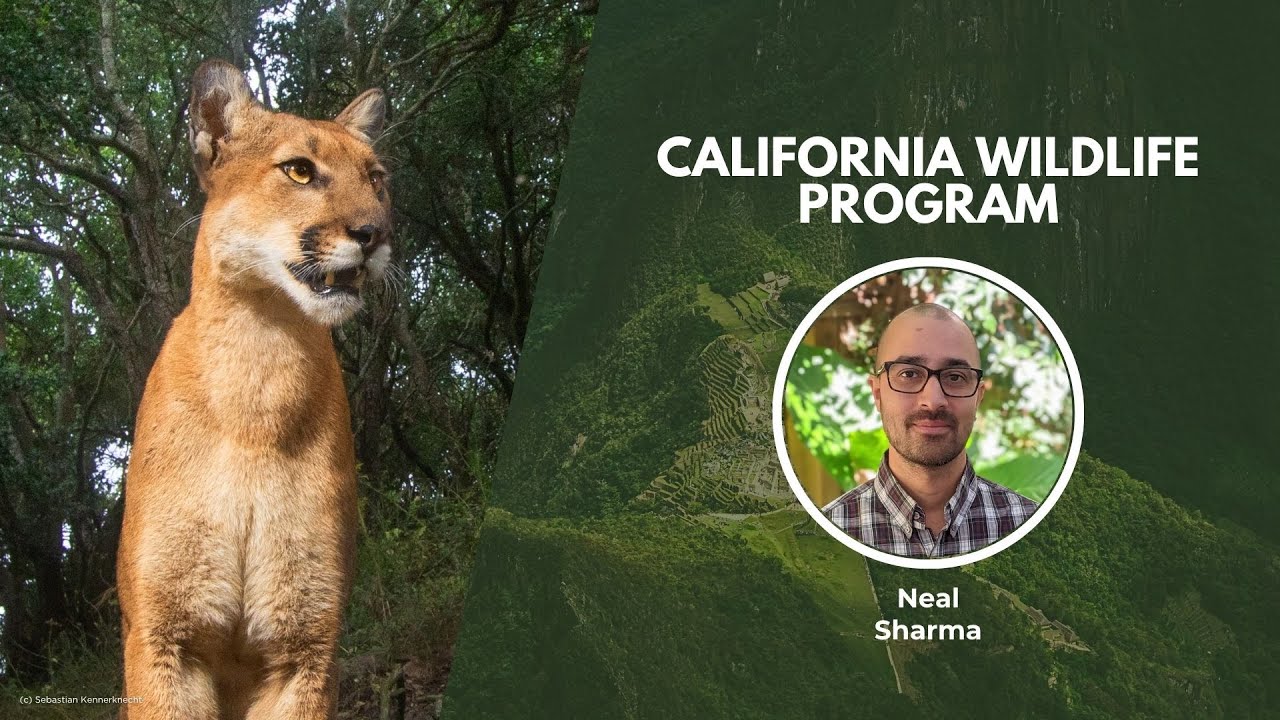Protecting California's Wildlife | Wildlife Conservation Expo