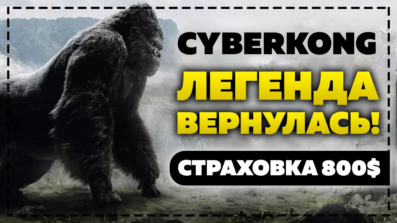 ОБЗОР CYBERKONG.ORG - ЛЕГЕНДА ВЕРНУЛАСЬ! НОВЫЙ ТОП ФАСТ ОТ МОЩНОГО АДМИНА! СТРАХОВКА 800$