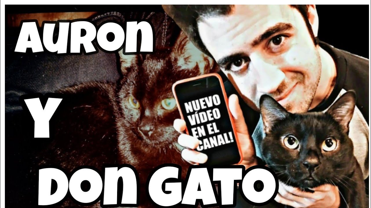 AuronPlay y su hijo Don Gato ❤️ [LAS AVENTURAS DE DON GATO ]