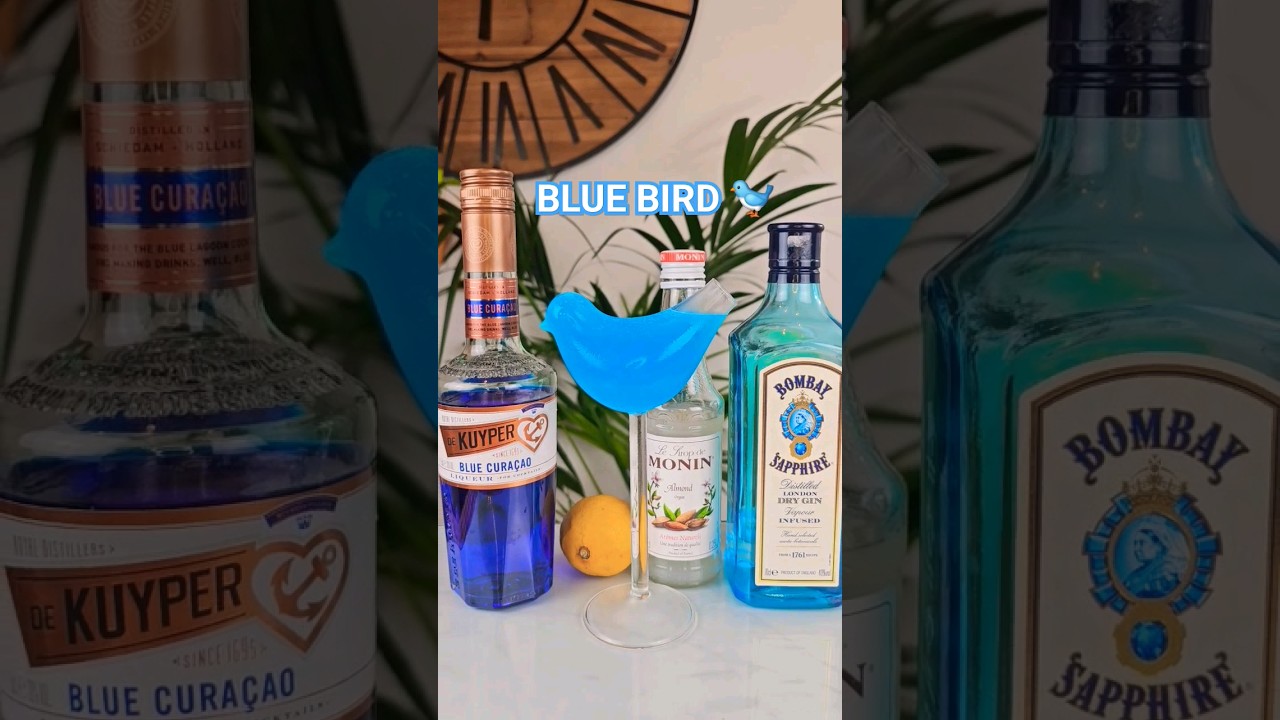 Blue Bird cocktail recipe #bluebird #cocktail #recipe #drink #fyp #howto #easycocktail #bluedrink