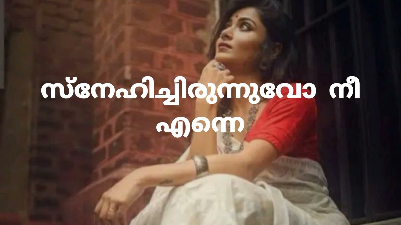 സ്നേഹിച്ചിരുന്നുവോ നീ എന്നെ || Malayalam poem