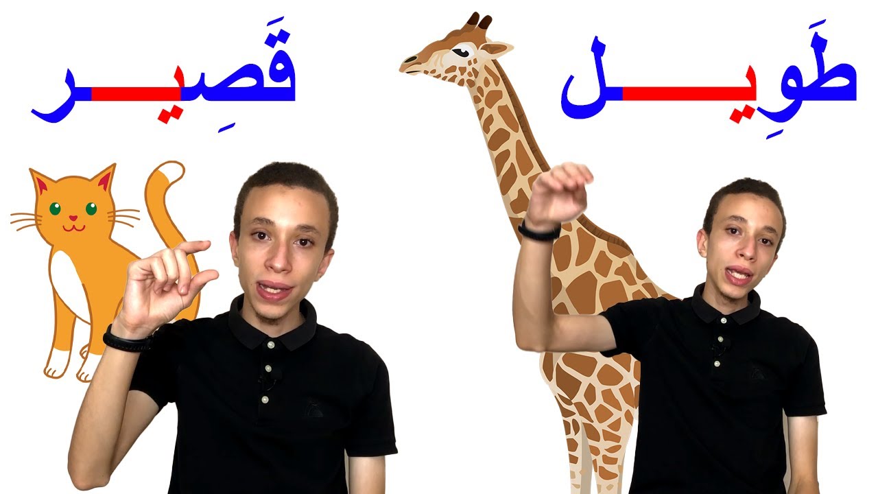 (56) الحيوانات وصفاتها || وحدة عالم الحيوان || الجزء الثالث ll سلسلة كنوز