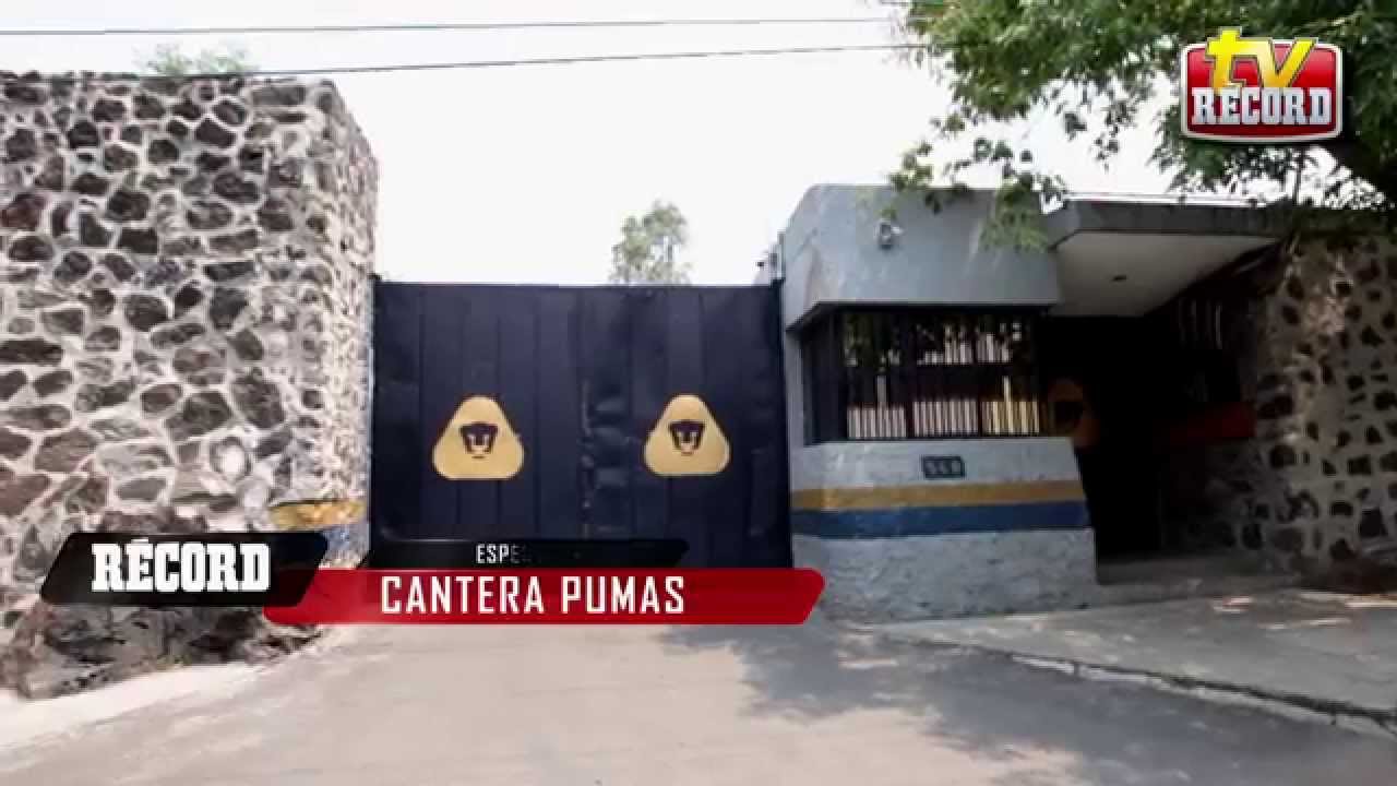 Cantera de Pumas: La ‘Joya' del Pedregal