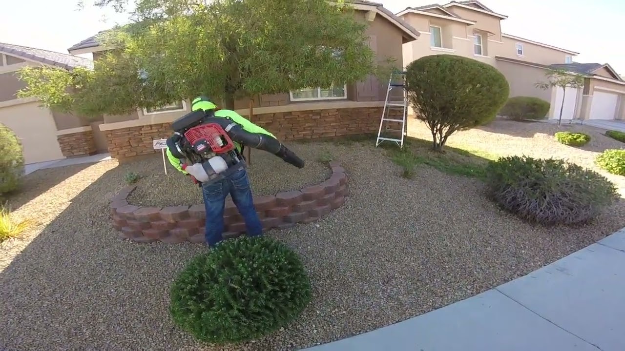 Barriendo los dólares PARTE 2 #jardin #blowermotor #youtubevideo #youtubevideo