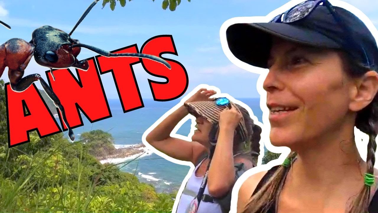 Exploring Quebrada Bonita, Jacó,Costa Rica